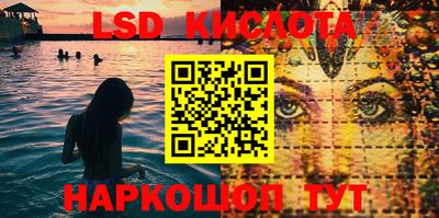 прущие грибы Шелехов