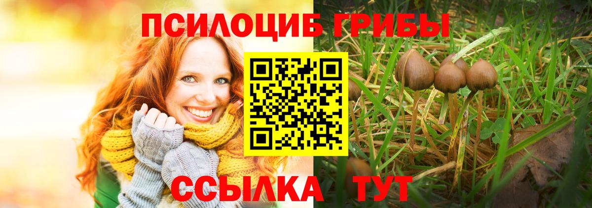 Псилоцибиновые грибы мухоморы  Татарск 