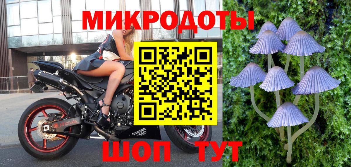 Галлюциногенные грибы Psilocybe Татарск